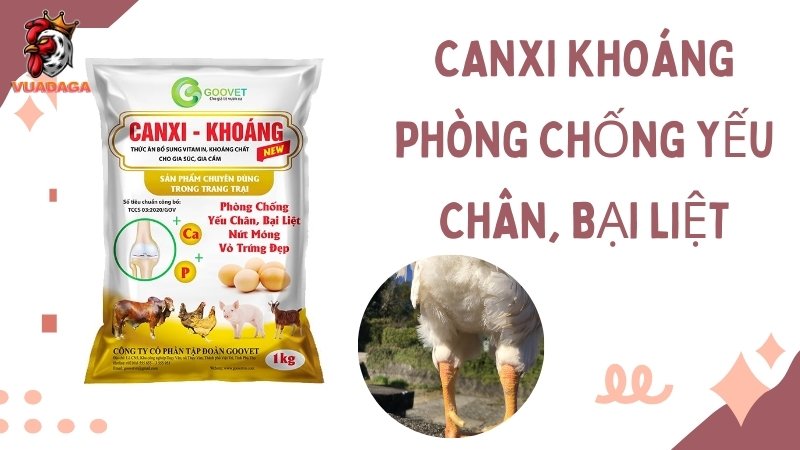 CANXI KHOÁNG - Phòng chống yếu chân, bại liệt