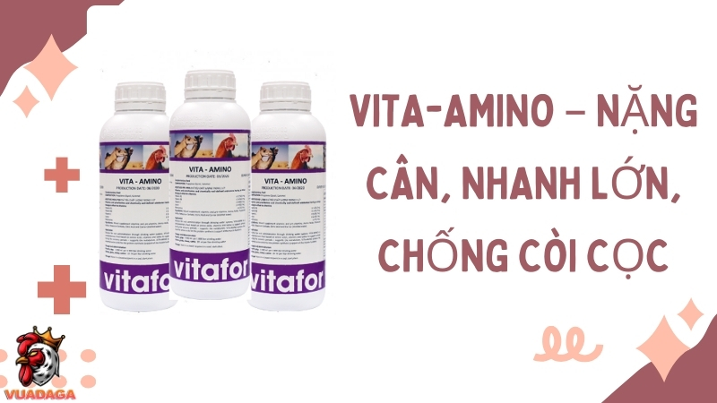 VITA-AMINO – Trọng lượng lớn, phát triển nhanh, chống suy dinh dưỡng
