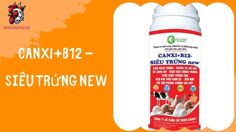 CANXI+B12 - Siêu trứng new