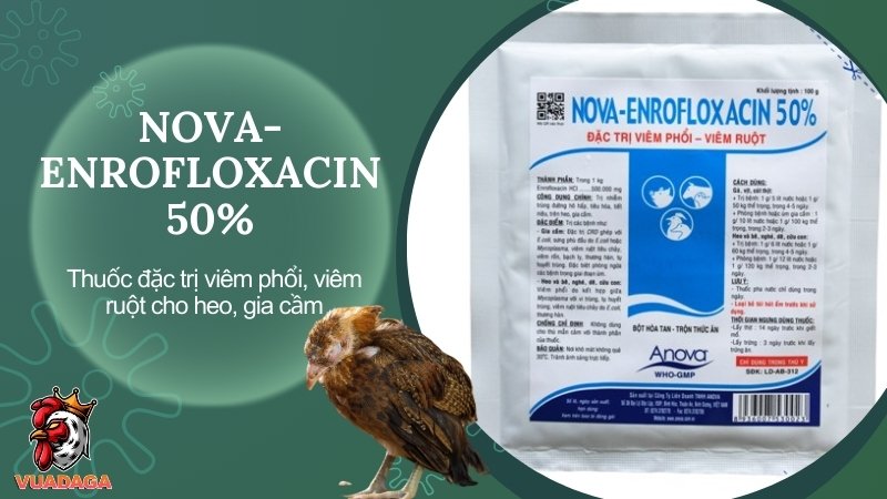 NOVA-ENROFLOXACIN 50% - Thuốc đặc trị viêm phổi, viêm ruột cho heo và gia cầm