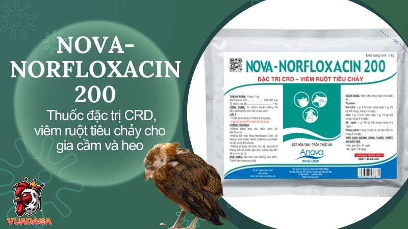 NOVA-NORFLOXACIN 200 - Thuốc đặc trị CRD, viêm ruột tiêu chảy cho heo, gia cầm và bê, nghé
