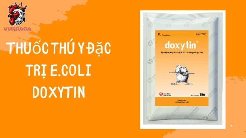 Thuốc thú y đặc trị E.coli DOXYTIN