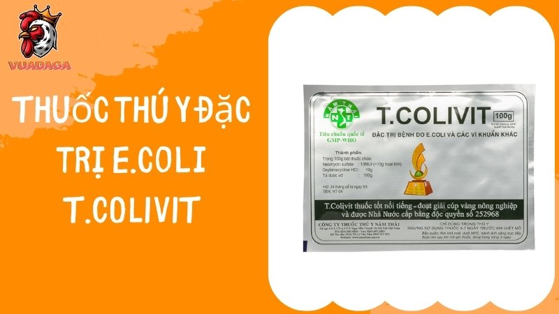 Thuốc thú y đặc trị E.coli T.COLIVIT