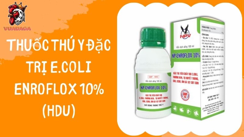 Thuốc thú y đặc trị E.coli ENROFLOX 10% (HDU)