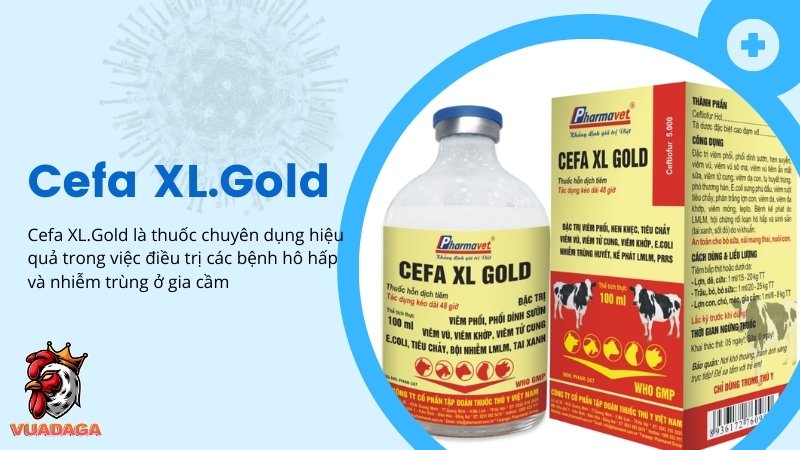 Thuốc Cefa XL.Gold