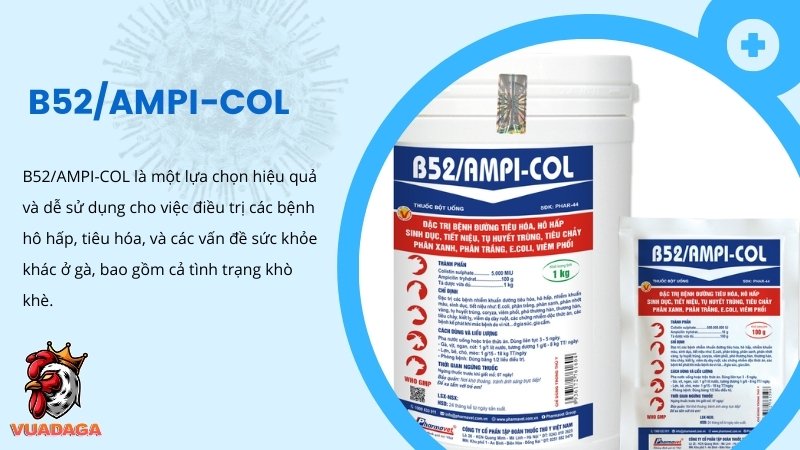 Thuốc B52/AMPI-COL