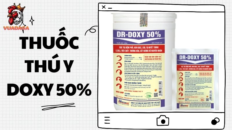 Thuốc DOXY 50%