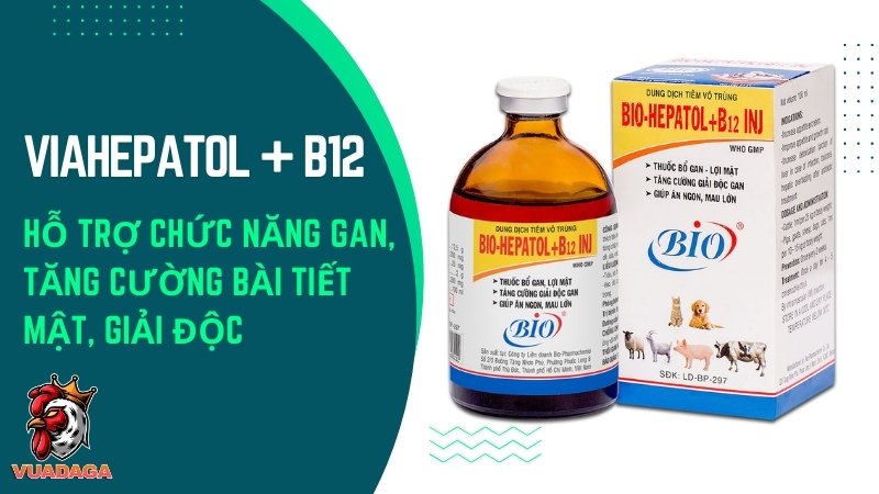 Viahepatol + B12