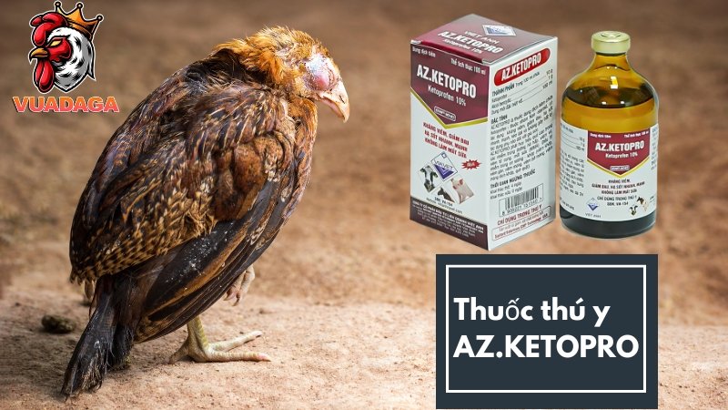 Thuốc thú y AZ.KETOPRO