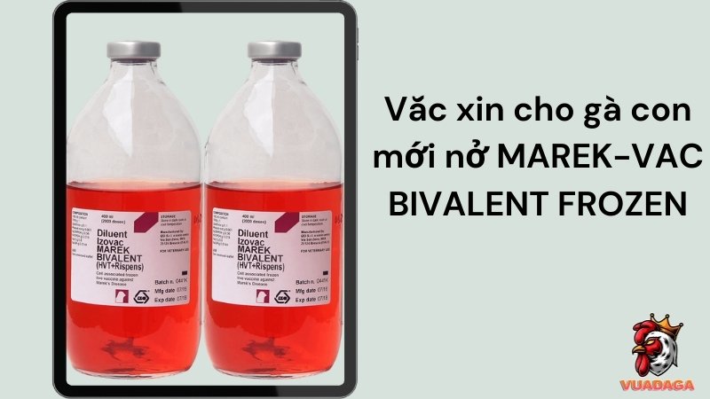 Vacxin Marek-Vac Bivalent Frozen