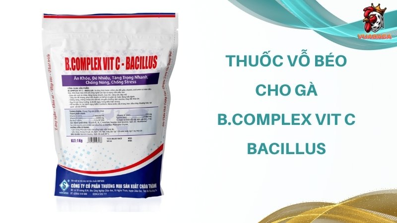 Thuốc vỗ béo cho gà B.Complex Vit C - Bacillus