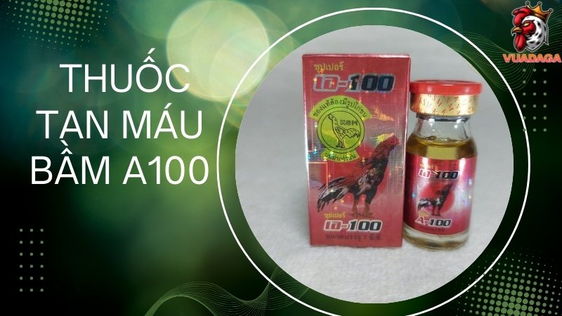 Thuốc tan máu bầm A100