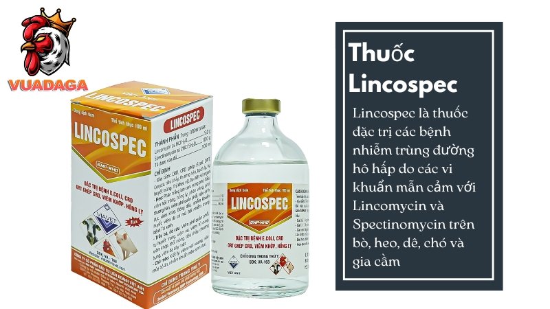 Thuốc Lincospec cho gia cầm và gia súc