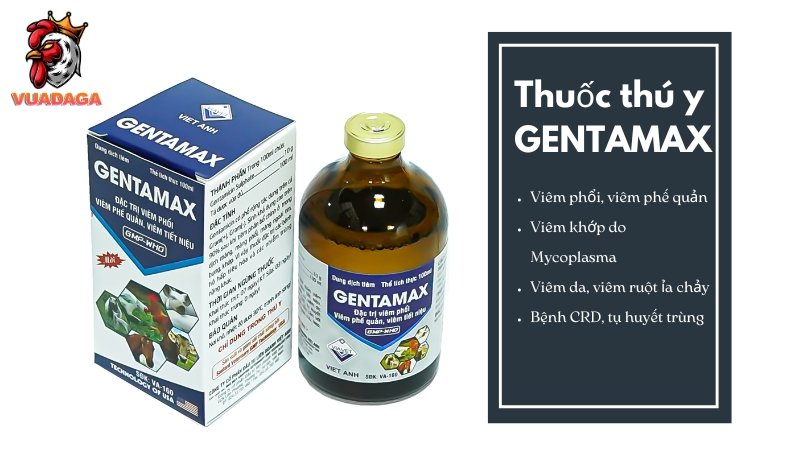 Thuốc GENTAMAX