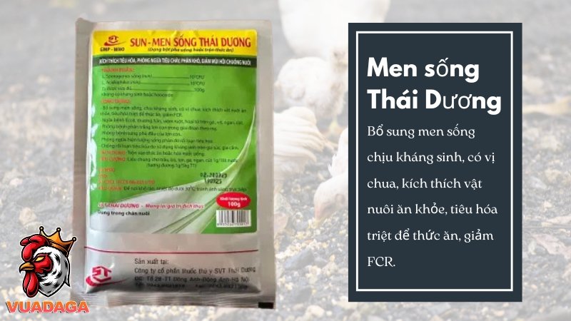 Men sống Thái Dương