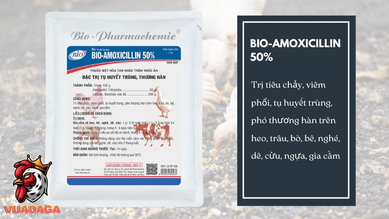 BIO-Amoxicillin 50%