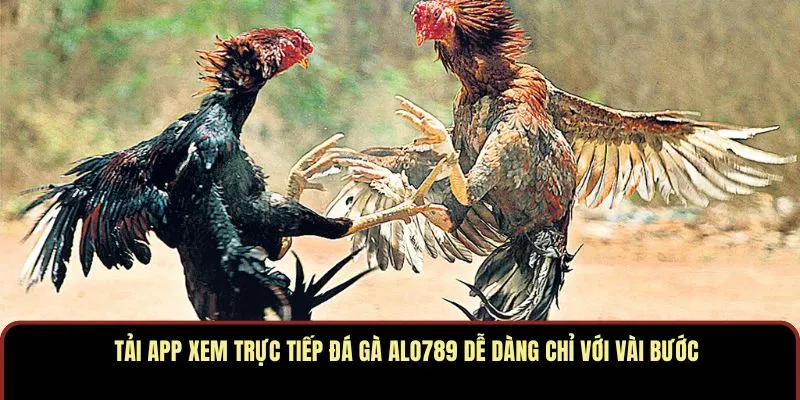 Tải app xem trực tiếp đá gà ALO789 dễ dàng chỉ với vài bước