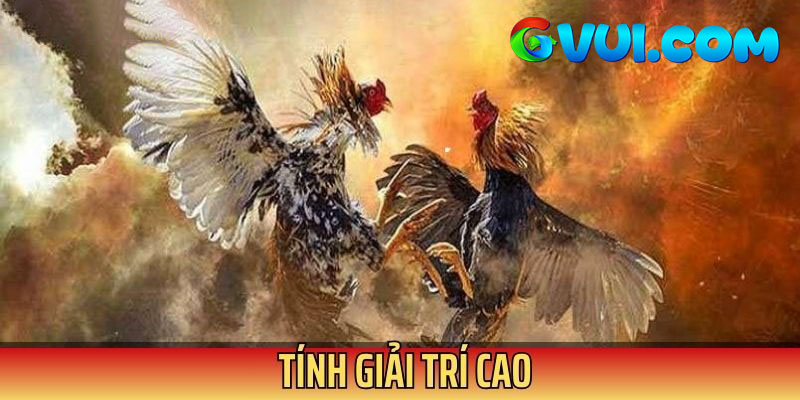 Trực tiếp đá gà online đem đến niềm vui giải trí cực đỉnh
