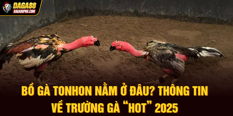 bồ gà tonhon