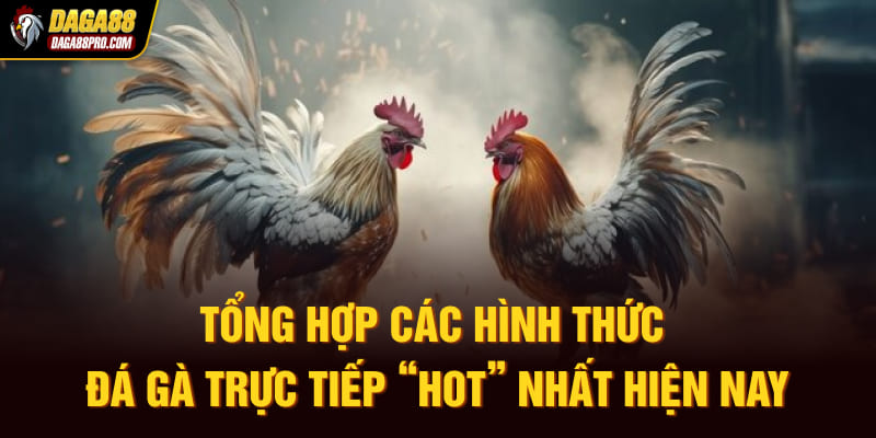 Tổng hợp các hình thức đá gà trực tiếp “hot” nhất hiện nay